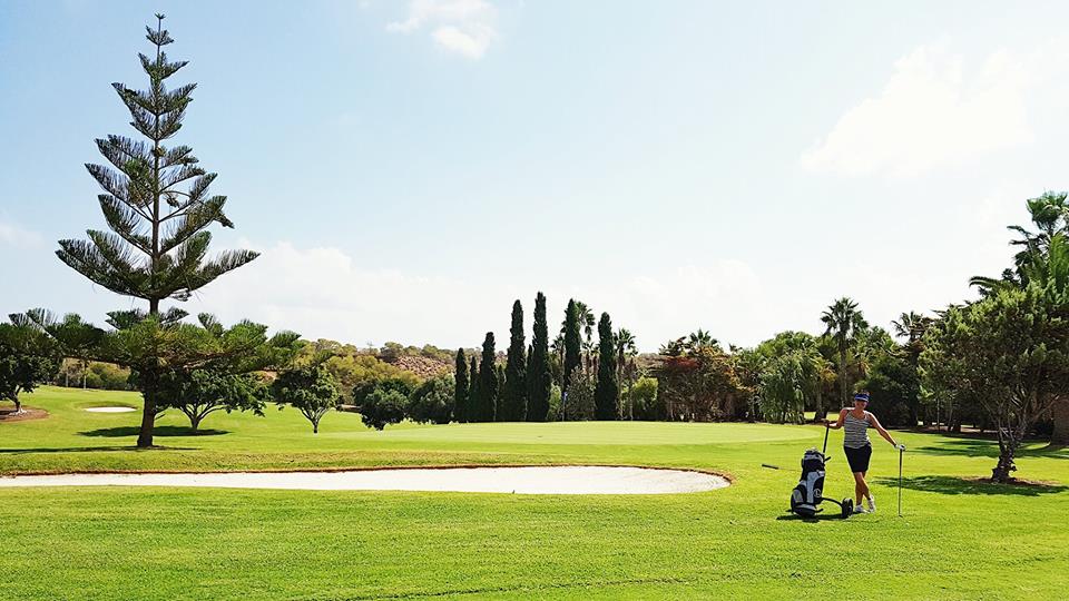 14509379_10155297405338916_1228361721_n