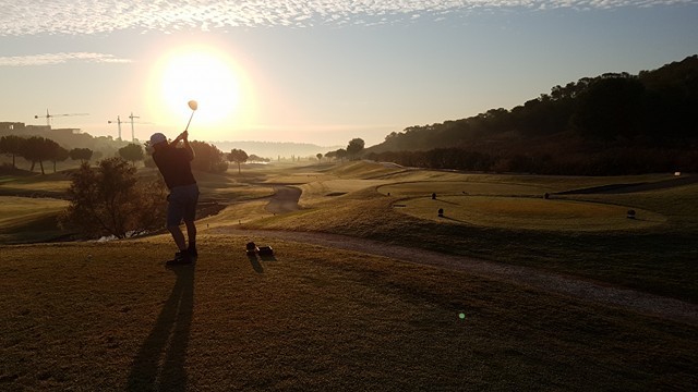 14542620_10155296021343916_723696854_n