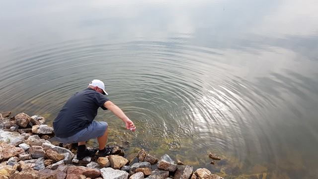 14543572_10155297281448916_536924064_n